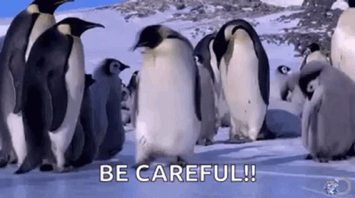 be careful penguin