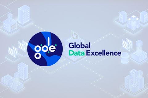 Global Data Excellence – DEMS Explainer 